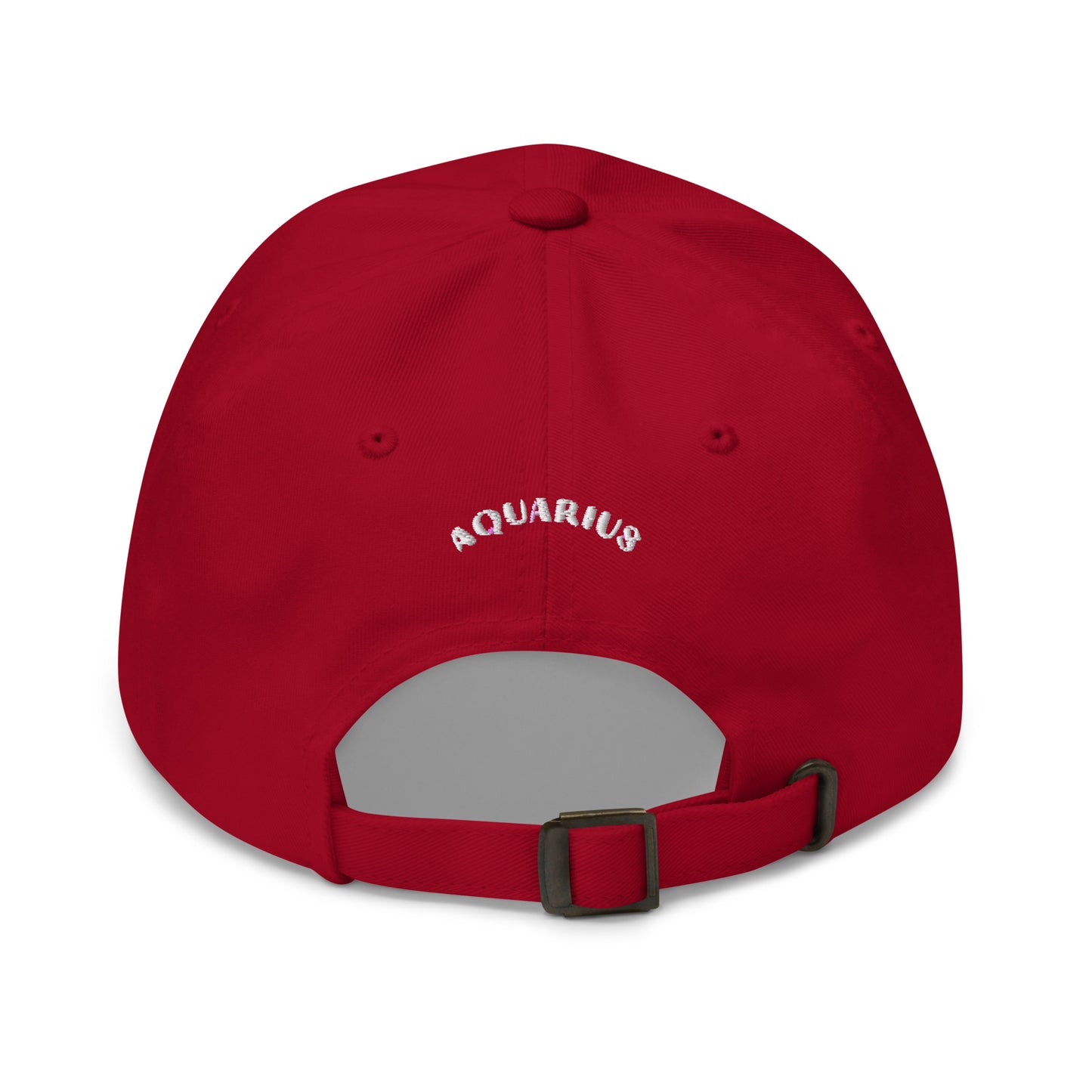 Aquarius "dad hat"